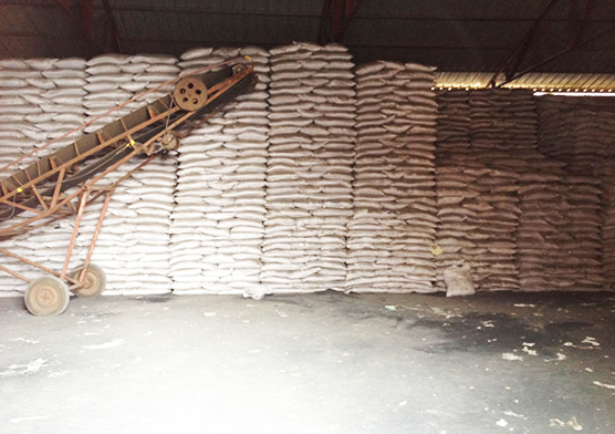 廠區(qū)環(huán)境