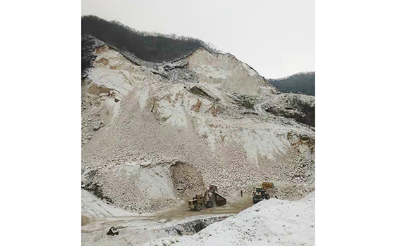 熱烈慶祝鞍山東盛源礦業(yè)有限公司網(wǎng)站正式成立！